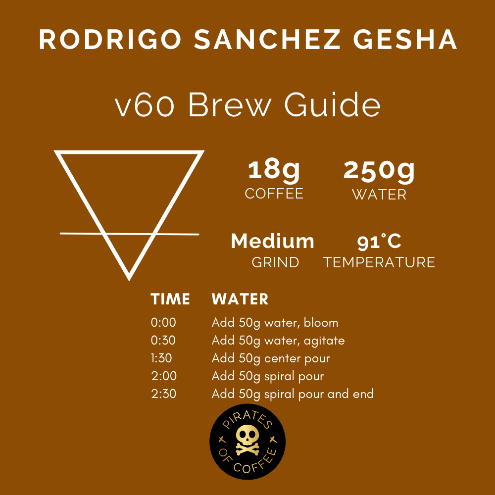 RODRIGO SANCHEZ GESHA: Colombia Anaerobic Washed