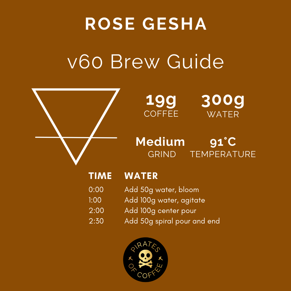 PEPE JIJÓN ROSE GESHA: Ecuador Gesha Anaerobic Washed