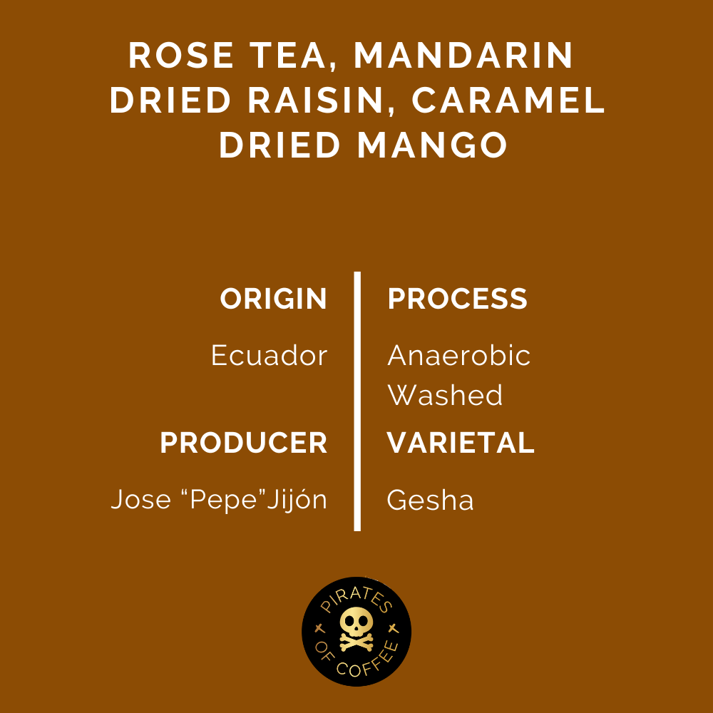 PEPE JIJÓN ROSE GESHA: Ecuador Gesha Anaerobic Washed