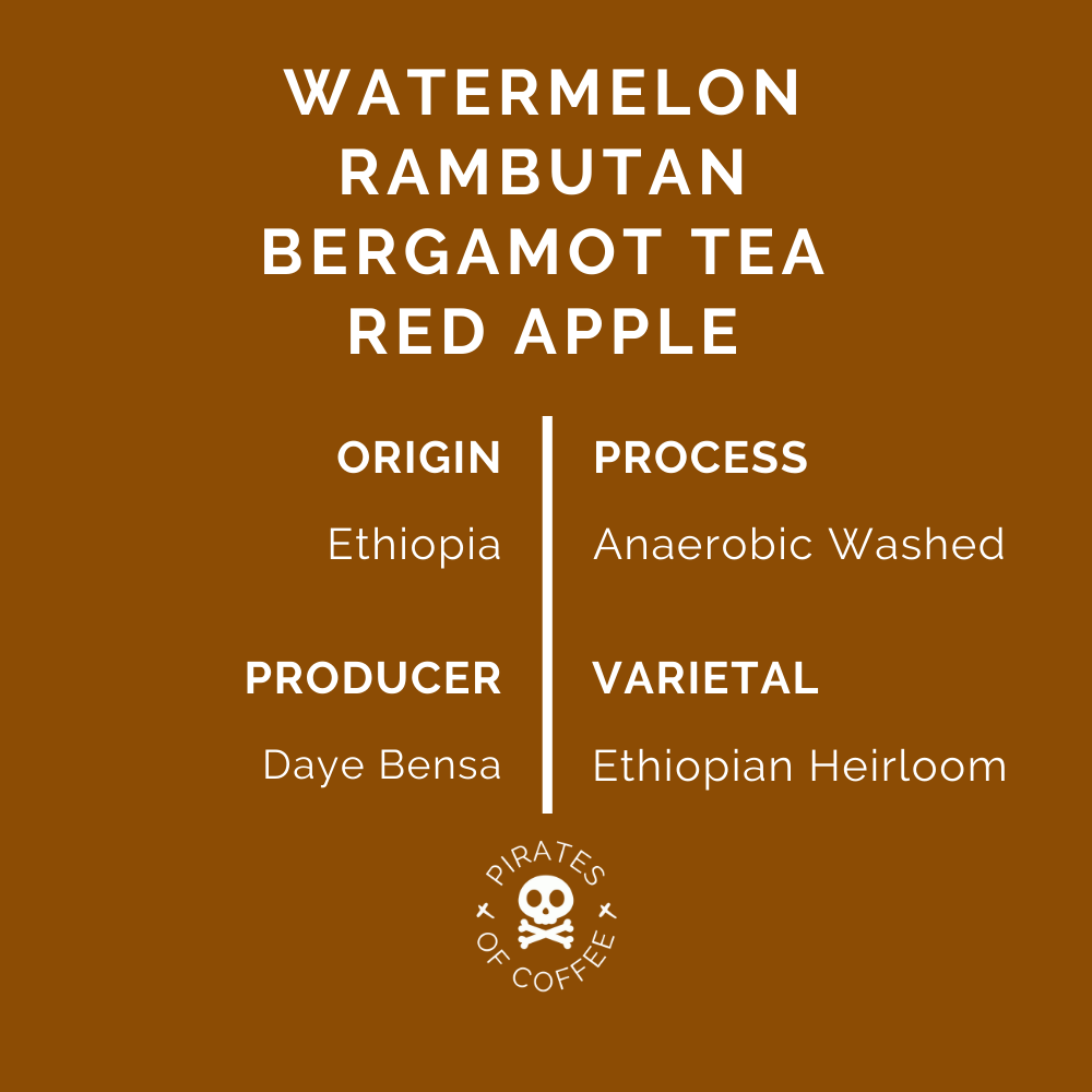 RUMUDAMO: Ethiopia Anaerobic Washed