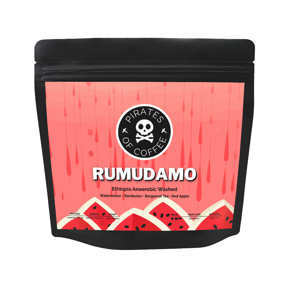 RUMUDAMO: Ethiopia Anaerobic Washed