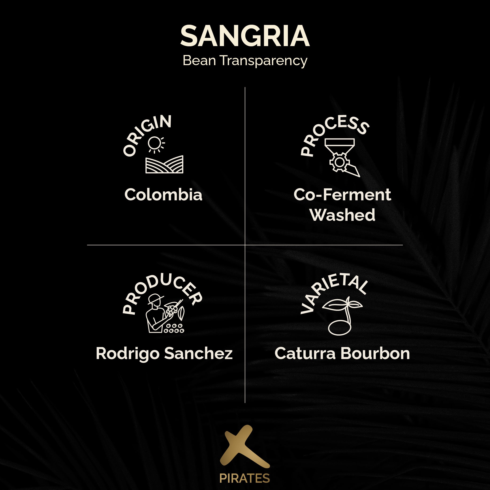 SANGRIA: Colombia Co-Ferment Washed