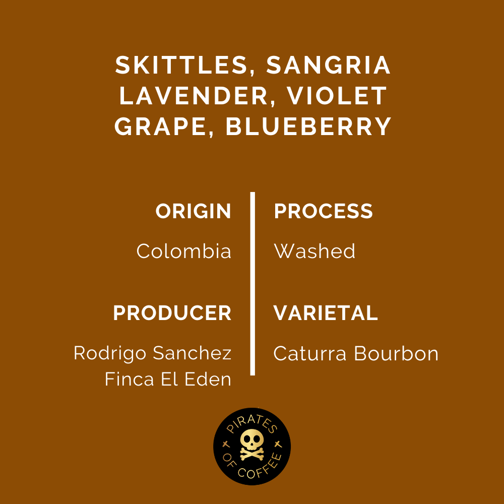 RODRIGO SANCHEZ SANGRIA: Colombia Washed