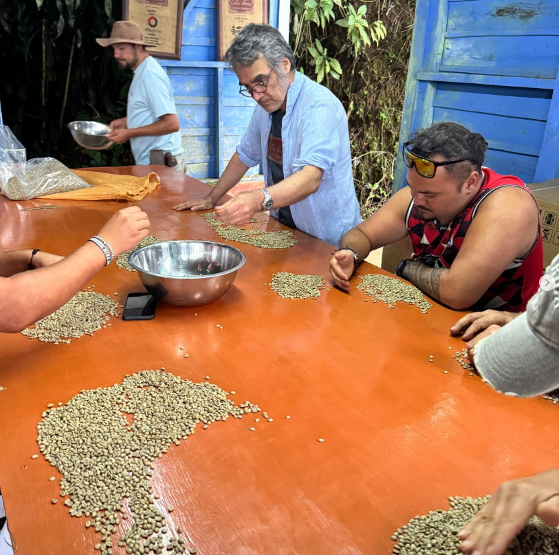 COSTA RICA GEISHA HONEY: Coffea Diversa Queen Geisha