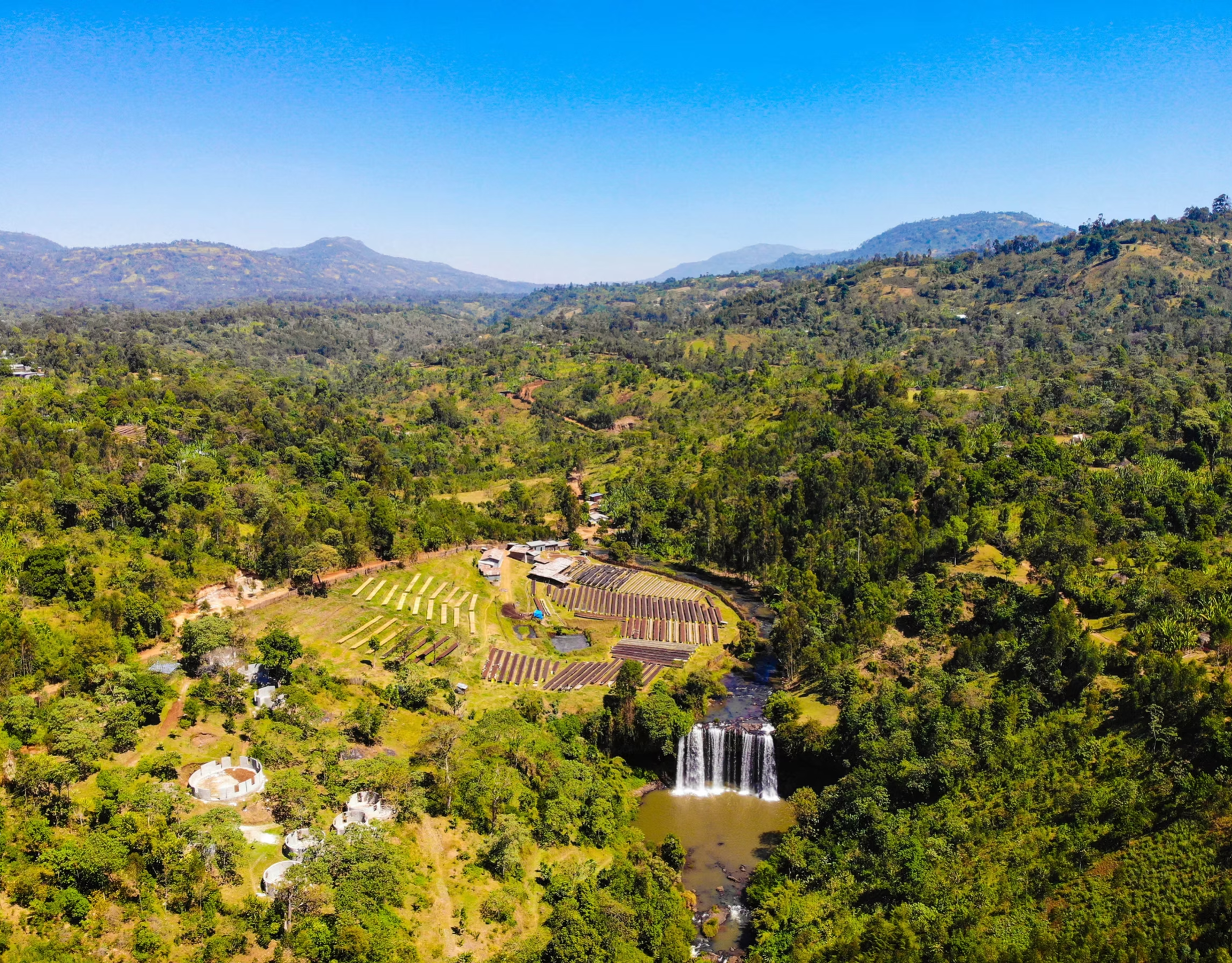 ROAD TO ZION: Daye Bensa Ethiopia Abore Washed