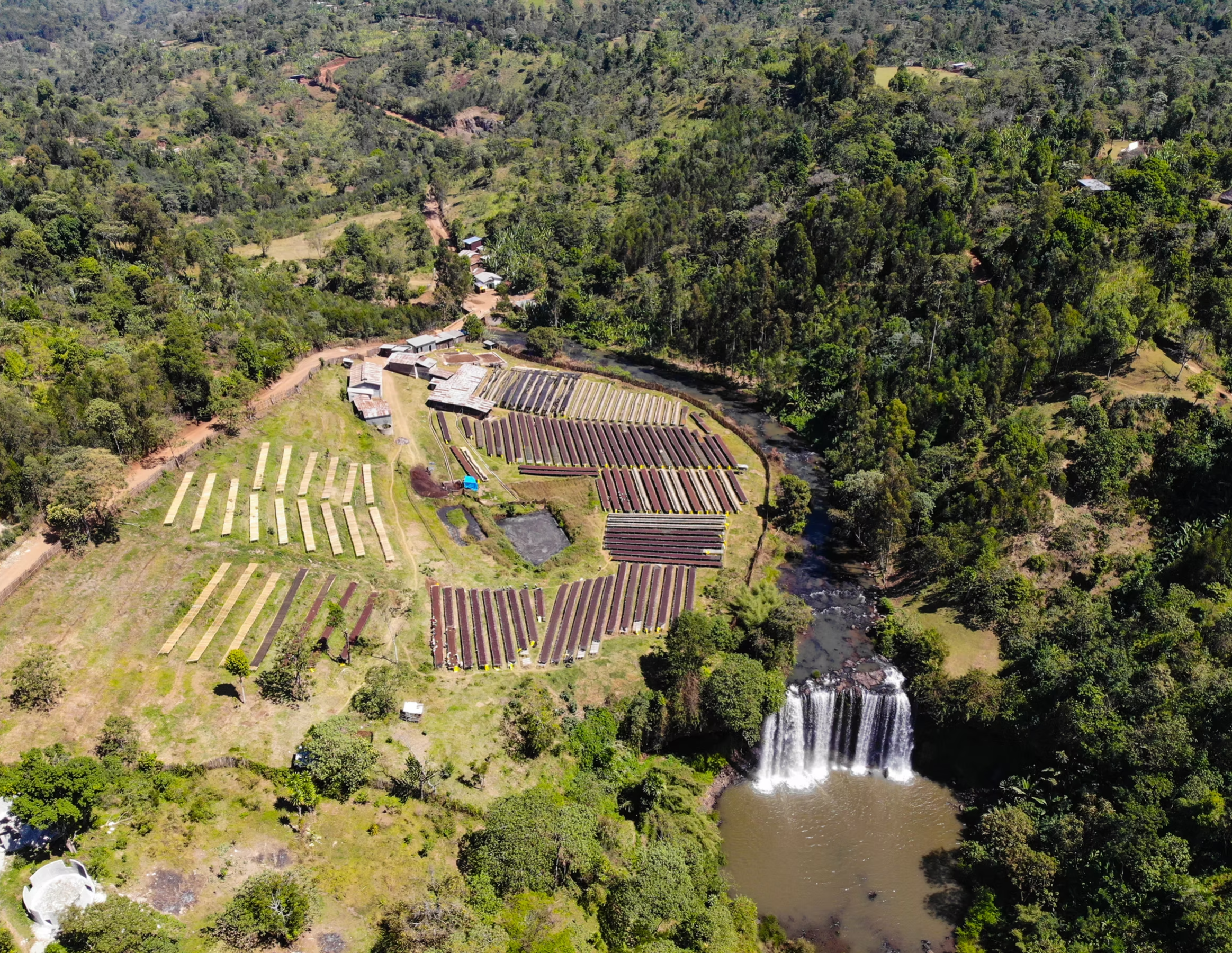 ROAD TO ZION: Daye Bensa Ethiopia Abore Washed