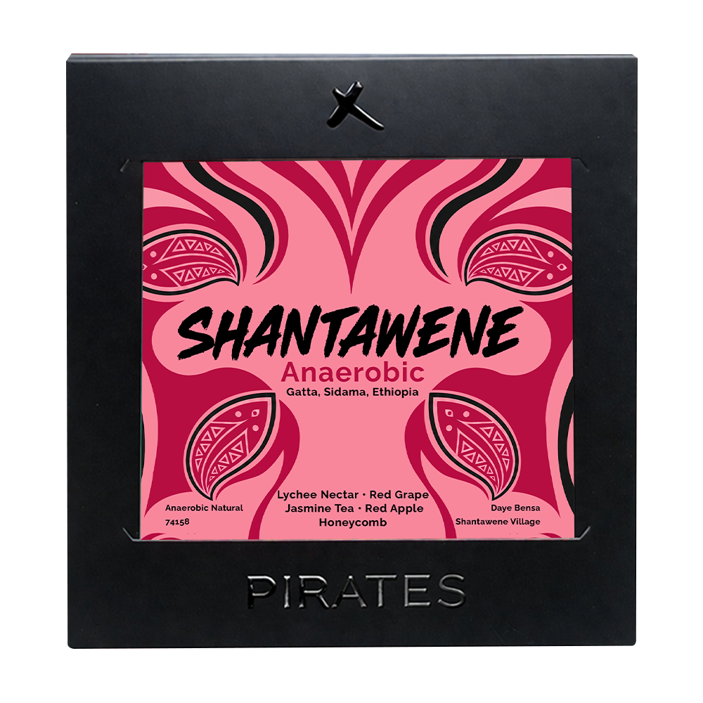 SHANTAWENE ANAEROBIC: Ethiopia Anaerobic Natural