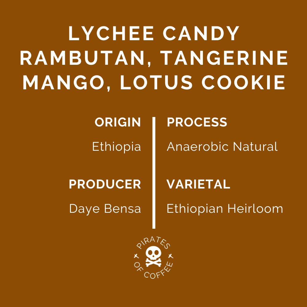 SHANTAWENE ANAEROBIC: Ethiopia Anaerobic Natural 2023