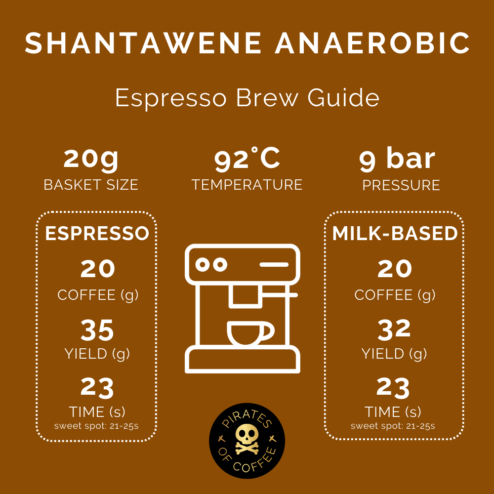 SHANTAWENE ANAEROBIC: Ethiopia Anaerobic Natural 2023
