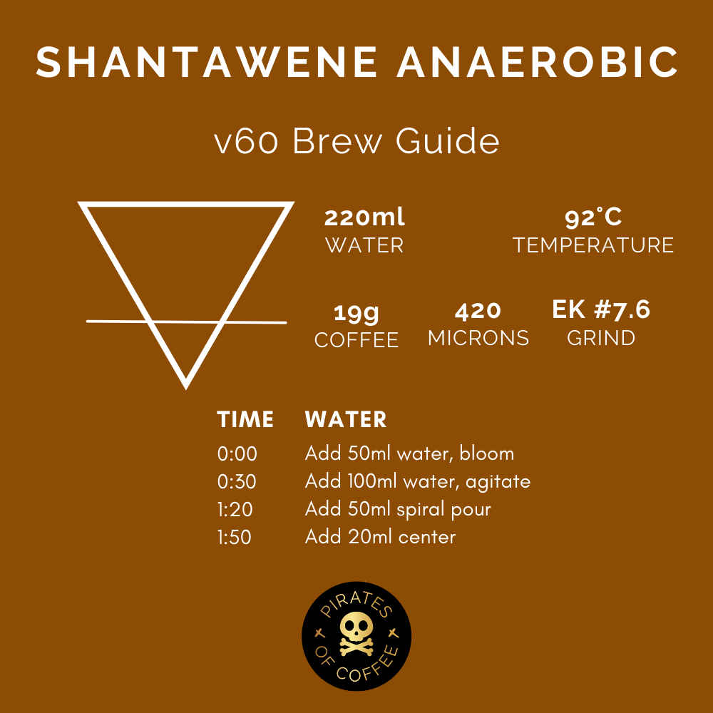 SHANTAWENE ANAEROBIC: Ethiopia Anaerobic Natural 2023