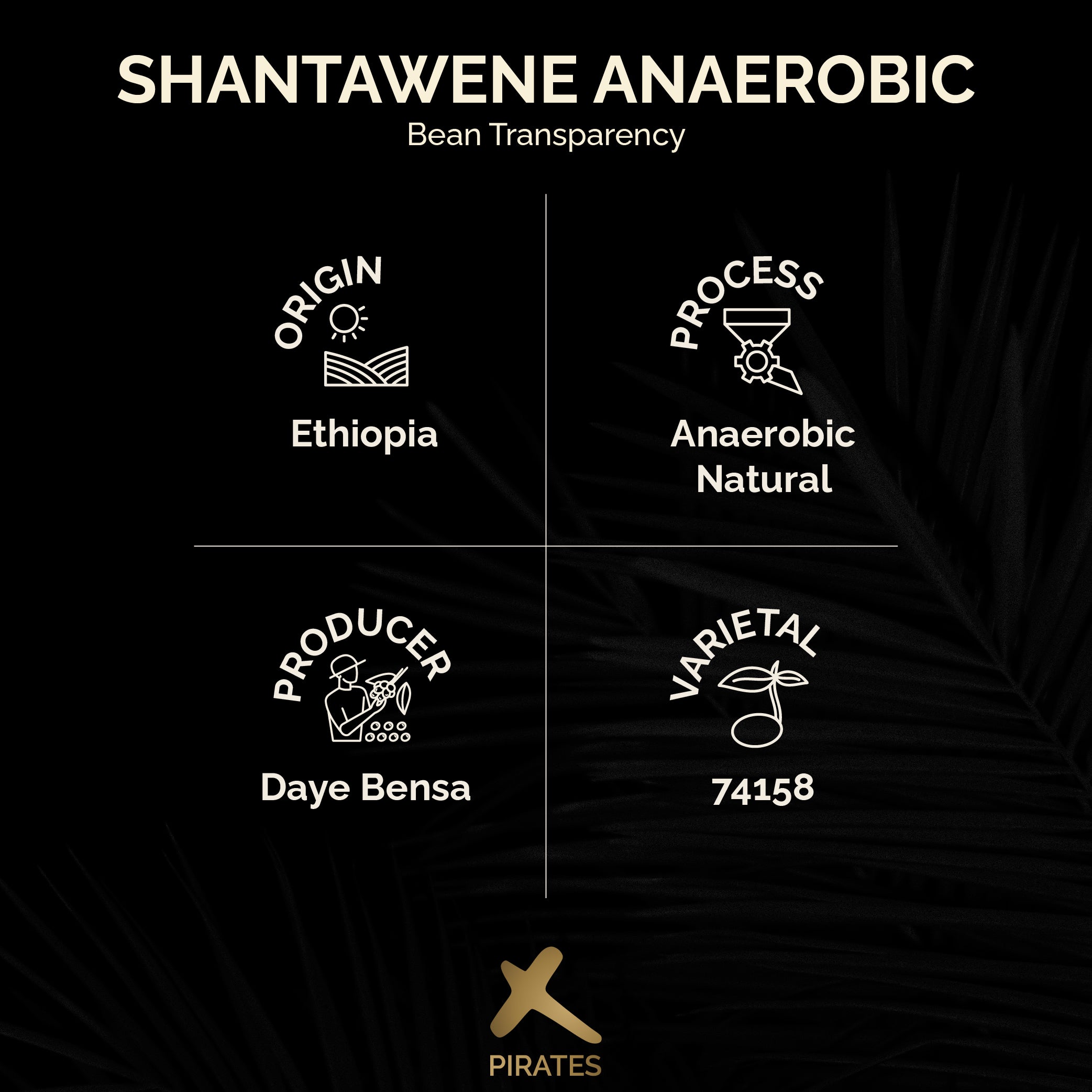 SHANTAWENE ANAEROBIC: Ethiopia Anaerobic Natural