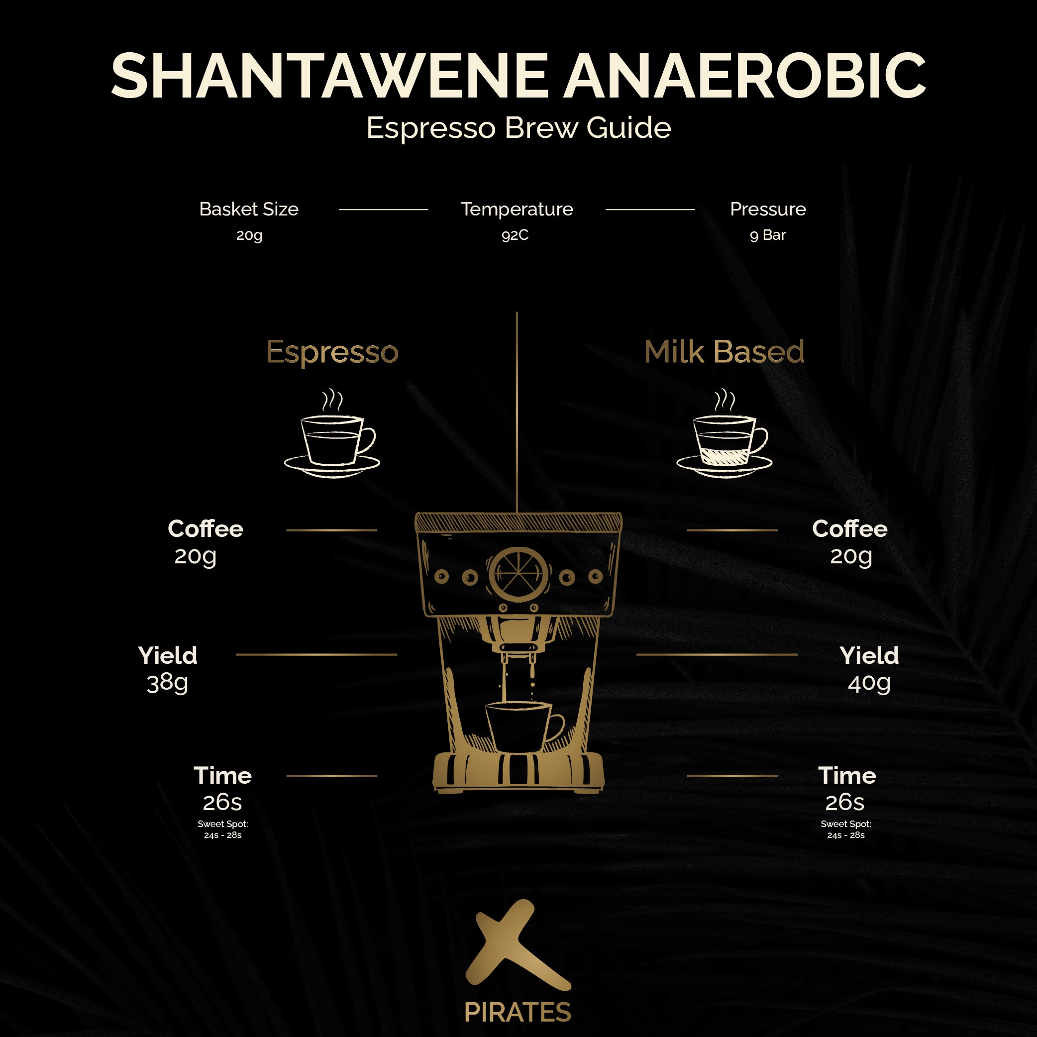 SHANTAWENE ANAEROBIC: Ethiopia Anaerobic Natural