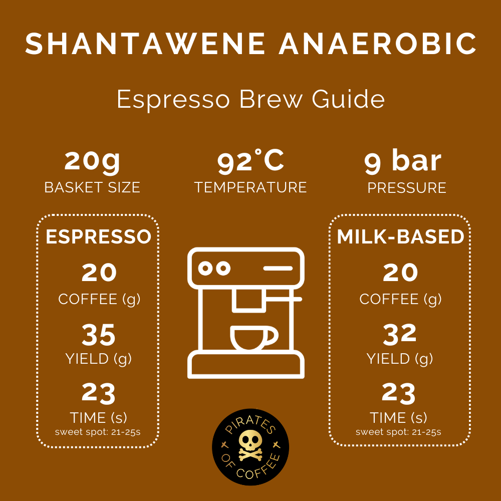 SHANTAWENE ANAEROBIC ESPRESSO: Ethiopia Anaerobic Natural 2024