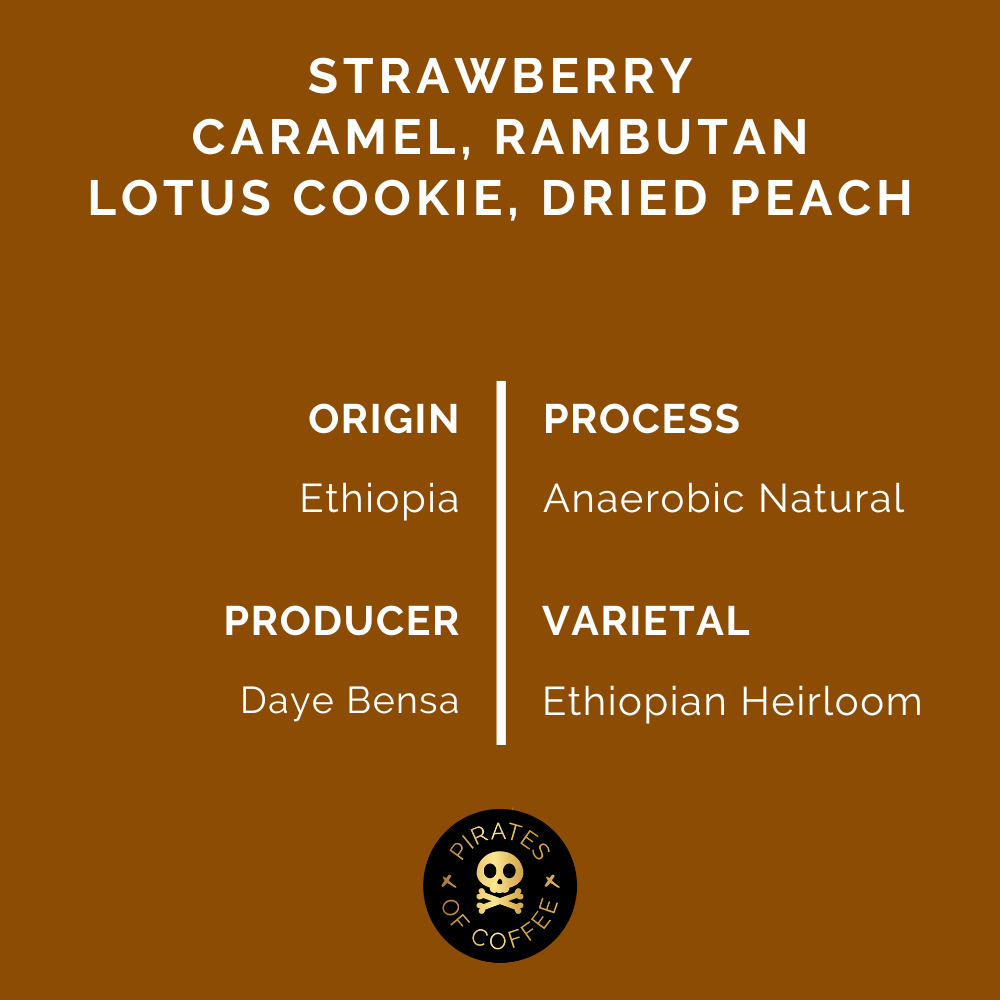 SHANTAWENE ANAEROBIC ESPRESSO: Ethiopia Anaerobic Natural 2024