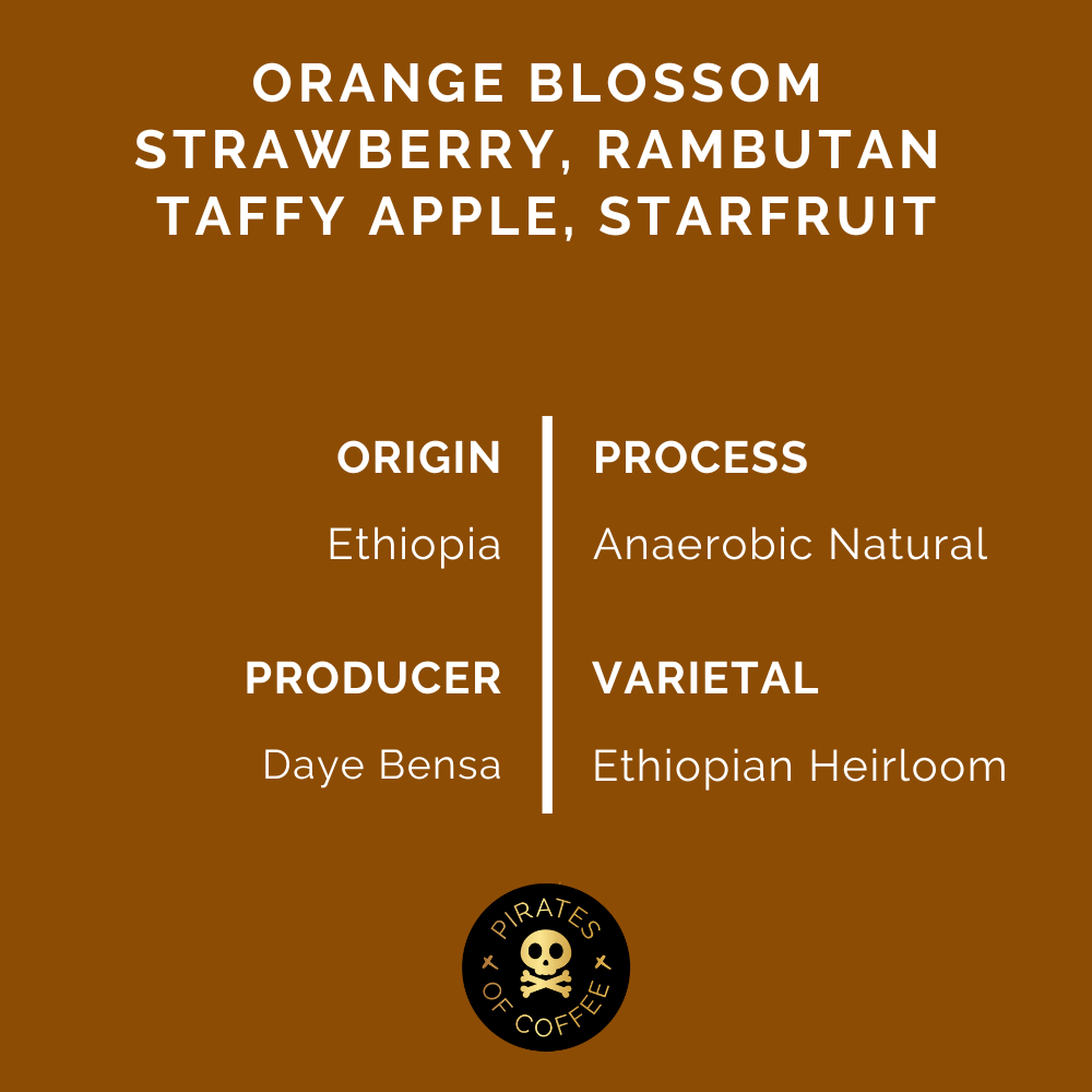 SHANTAWENE ANAEROBIC: Ethiopia Anaerobic Natural 2024