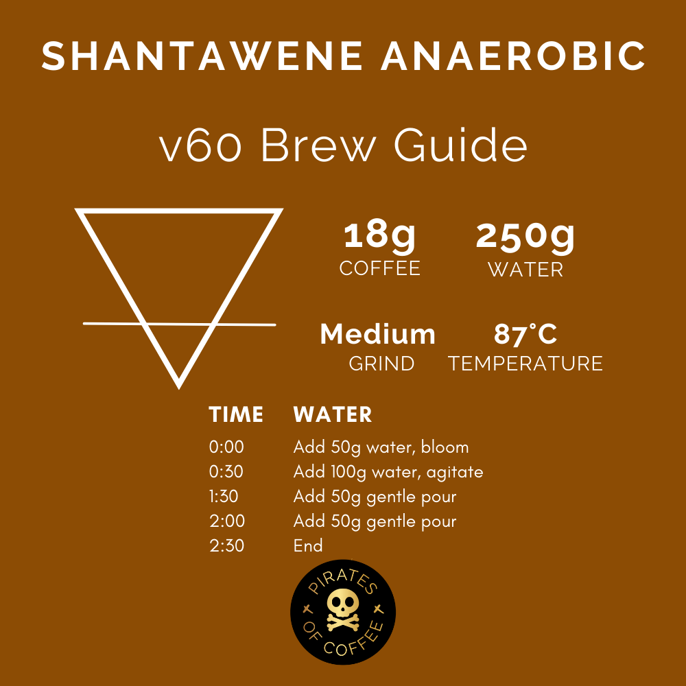 SHANTAWENE ANAEROBIC: Ethiopia Anaerobic Natural 2024