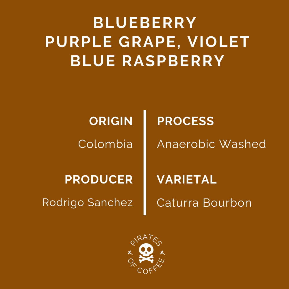 SLURPY ESPRESSO : Colombia Anaerobic Washed