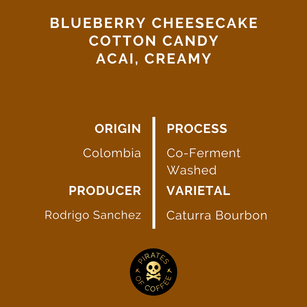 SLURPY ESPRESSO: Colombia Rodrigo Sanchez Co-Ferment Washed