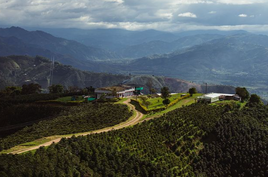 SLURPY ESPRESSO : Colombia Anaerobic Washed