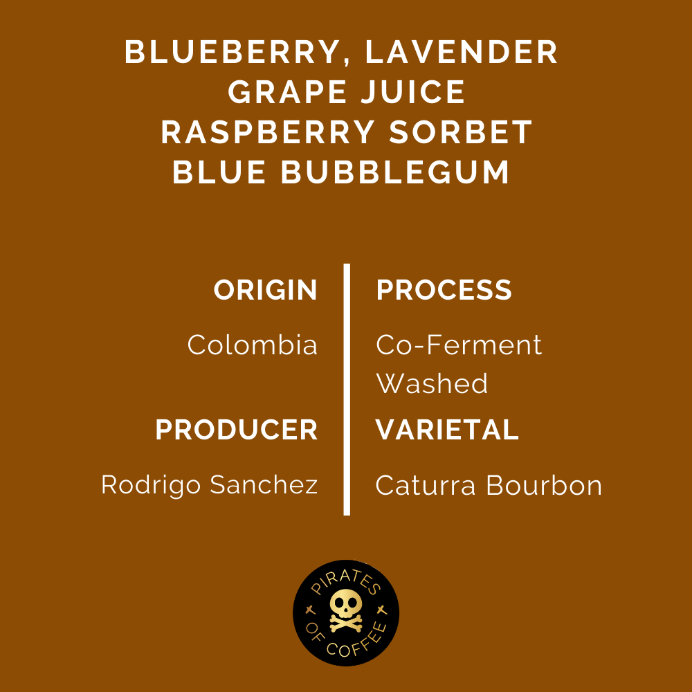 SLURPY: Colombia Rodrigo Sanchez Co-Ferment Washed