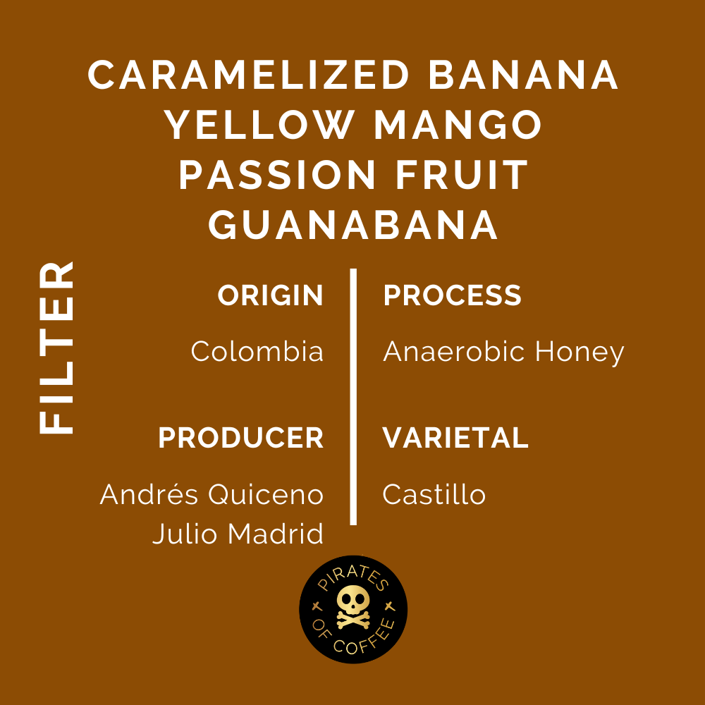 SMOOTHIE: Colombia Anaerobic Honey