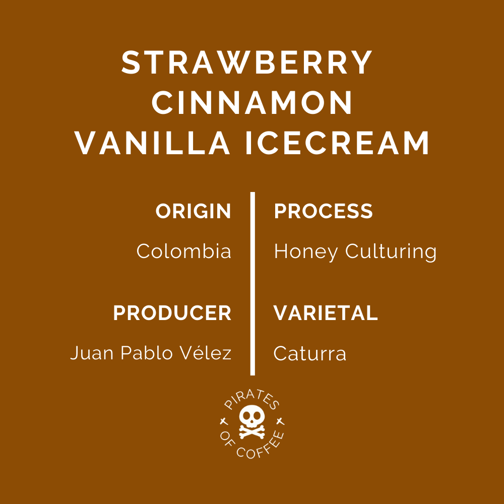 SOFT SERVE ESPRESSO: Colombia Honey Culturing