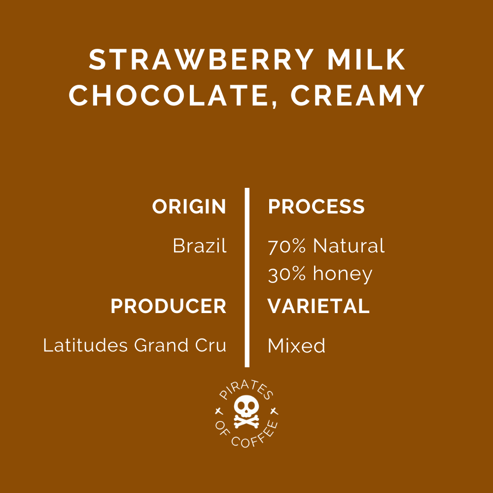 STRAWBERRY MILKSHAKE: Brazil Natural/Honey