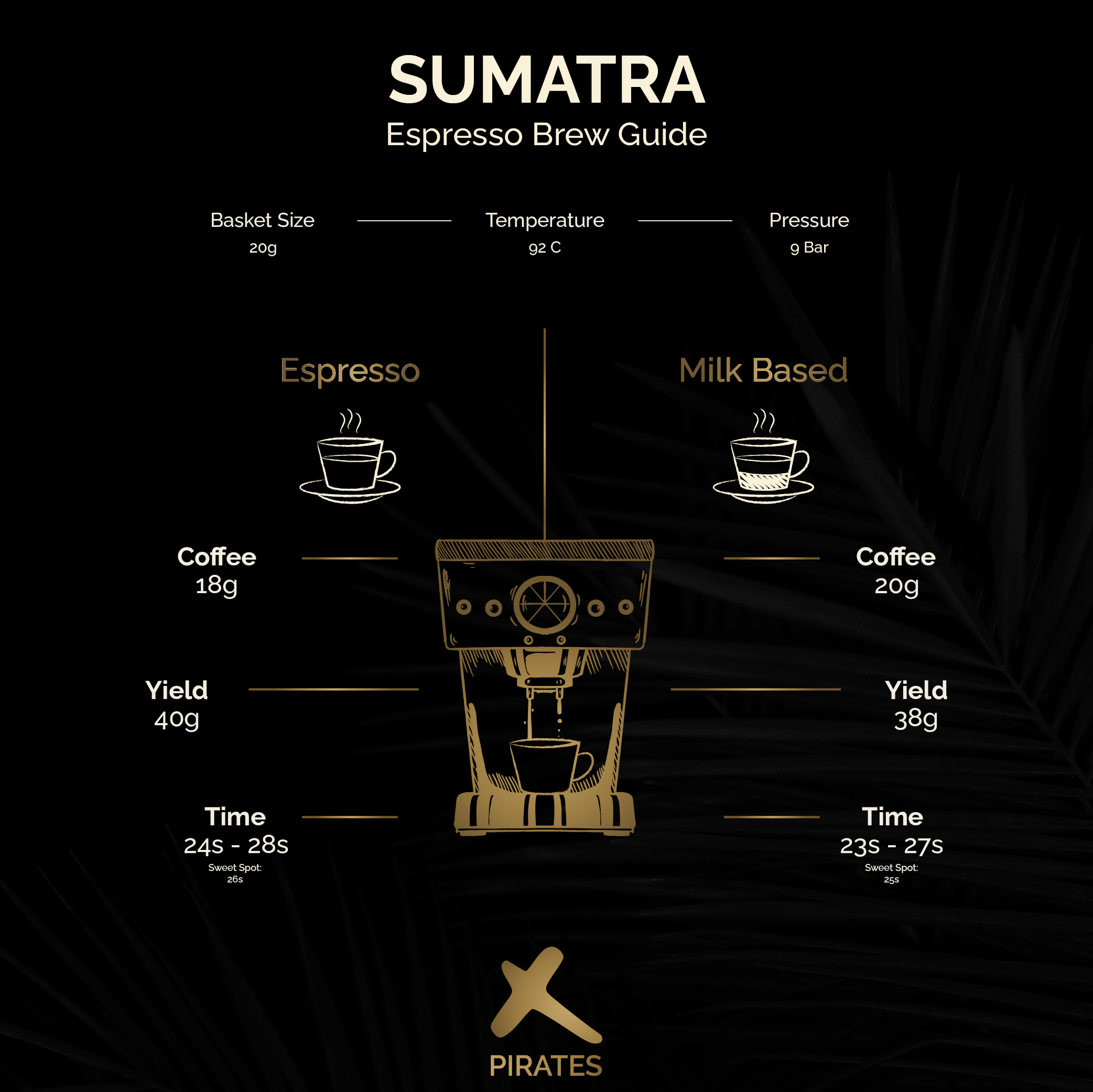 SUMATRA: Indonesia Washed