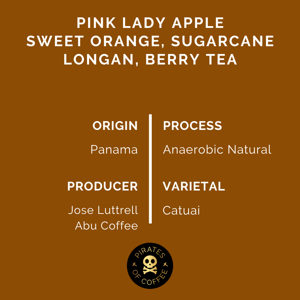 ABU TN-535: Panama Anaerobic Natural