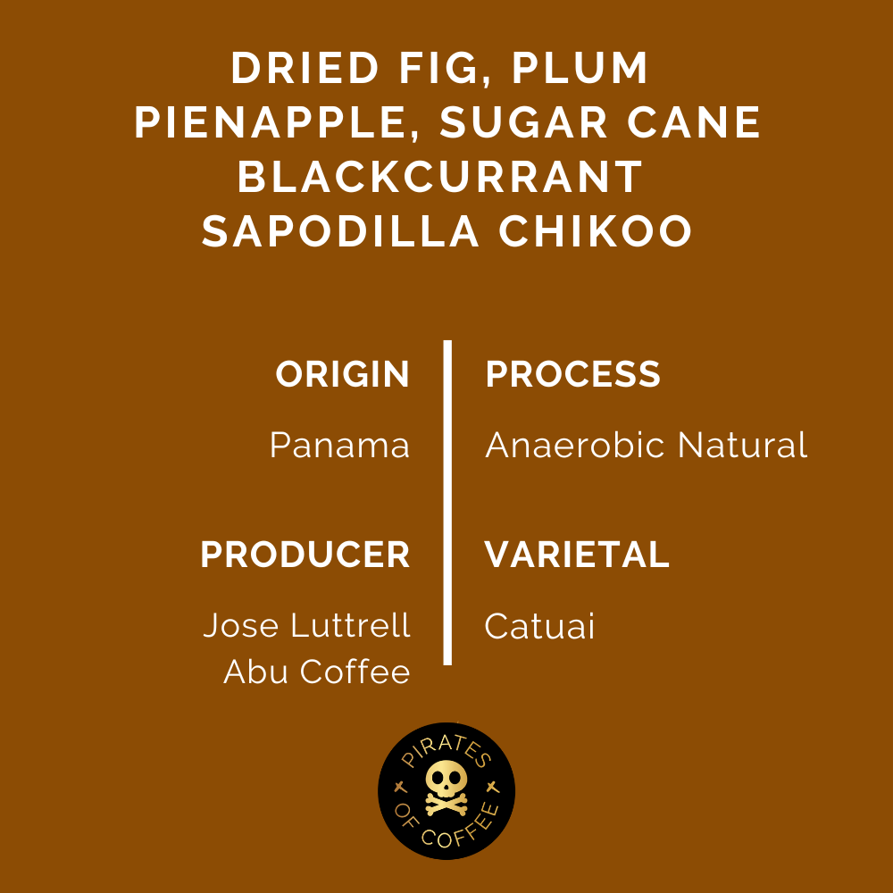 ABU TN-640: Panama Anaerobic Natural