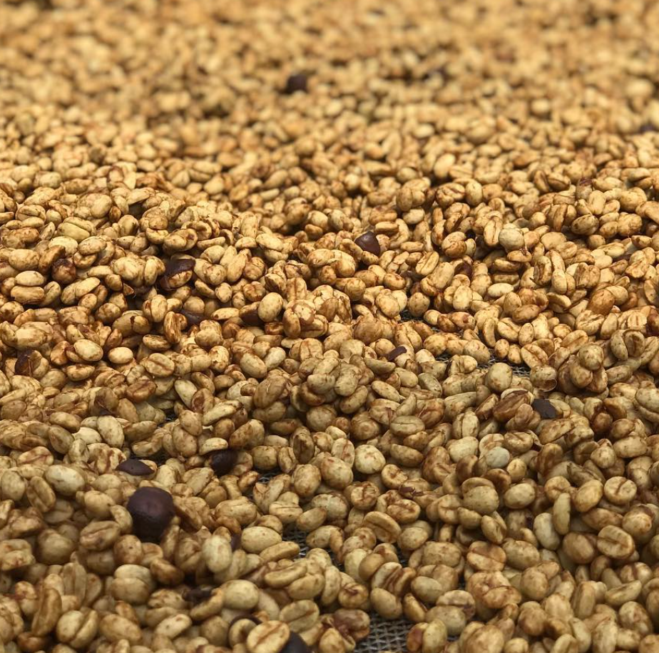 TREASURE OF LAOS: Nhot Ou Washed