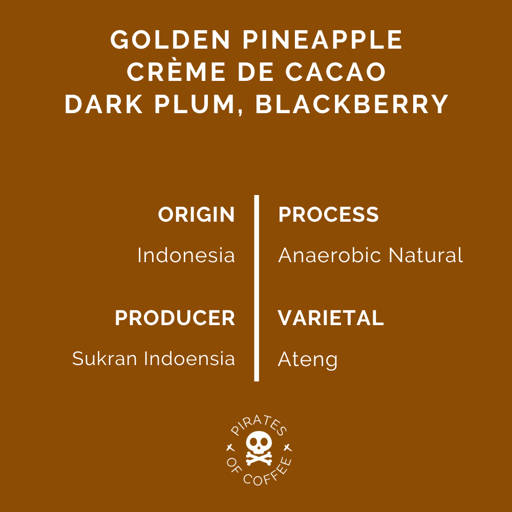 TREASURE OF INDONESIA: Sumatra Gayo Anaerobic Natural