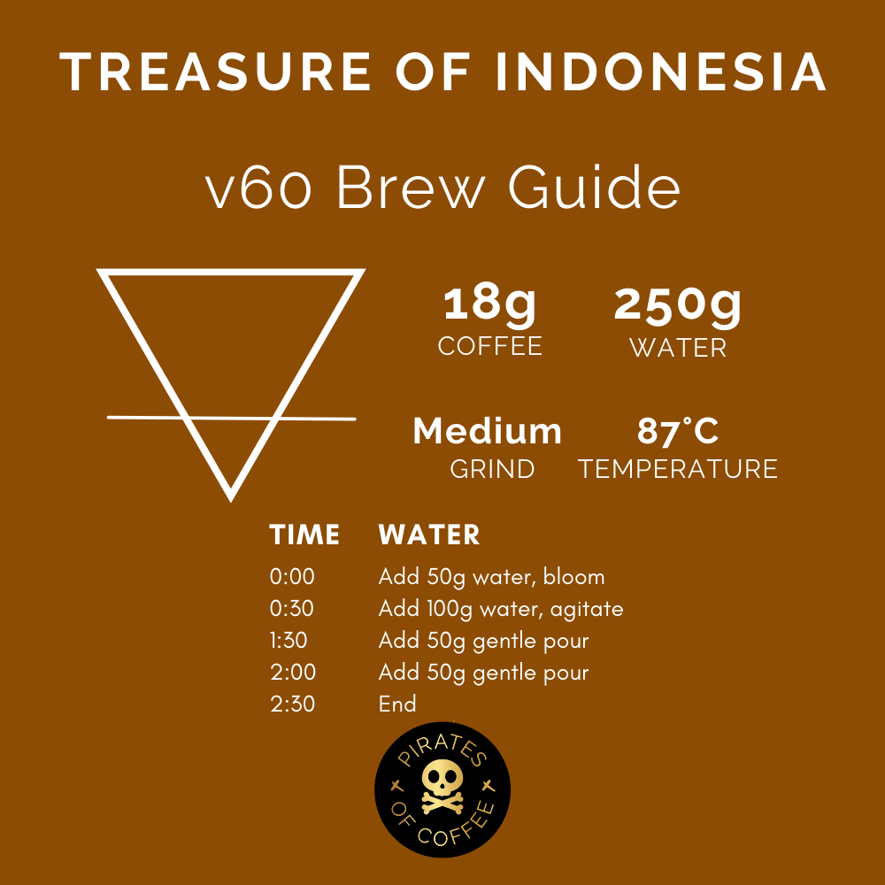 TREASURE OF INDONESIA: Sumatra Gayo Anaerobic Natural