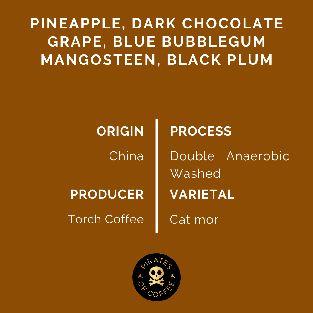 TREASURE OF CHINA: Yunnan Double Anaerobic Natural