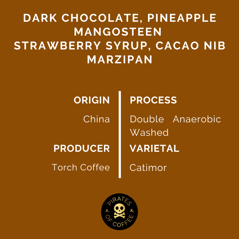 TREASURE OF CHINA ESPRESSO: Yunnan Double Anaerobic Natural