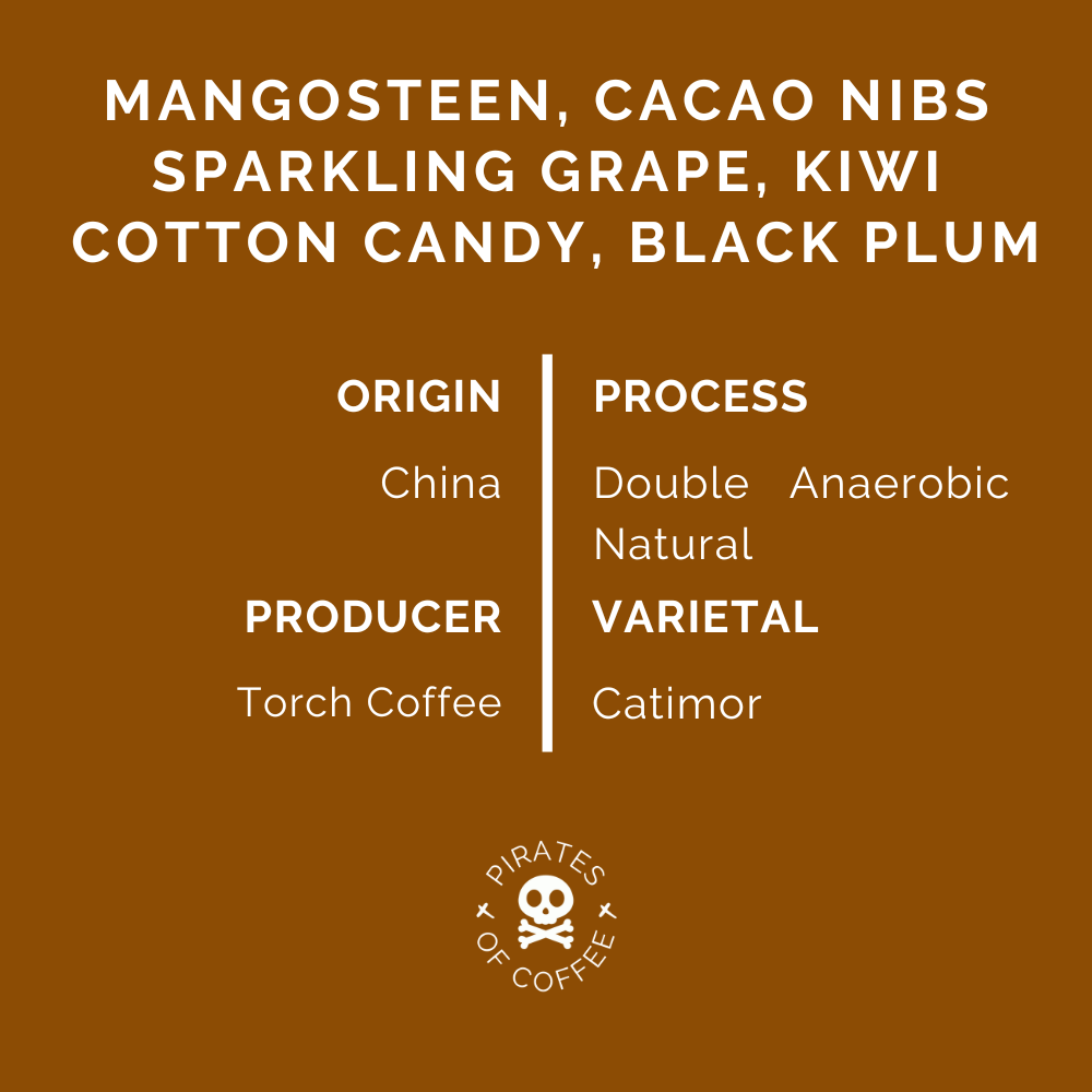 TREASURE OF CHINA: Double Anaerobic Natural 2023