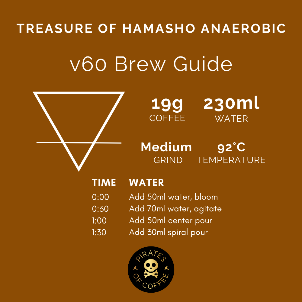 TREASURE OF HAMASHO ANAEROBIC: Ethiopia Anaerobic Natural