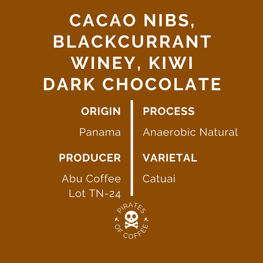 VIOLETA: Panama Abu Coffee TN24 - Anaerobic Natural