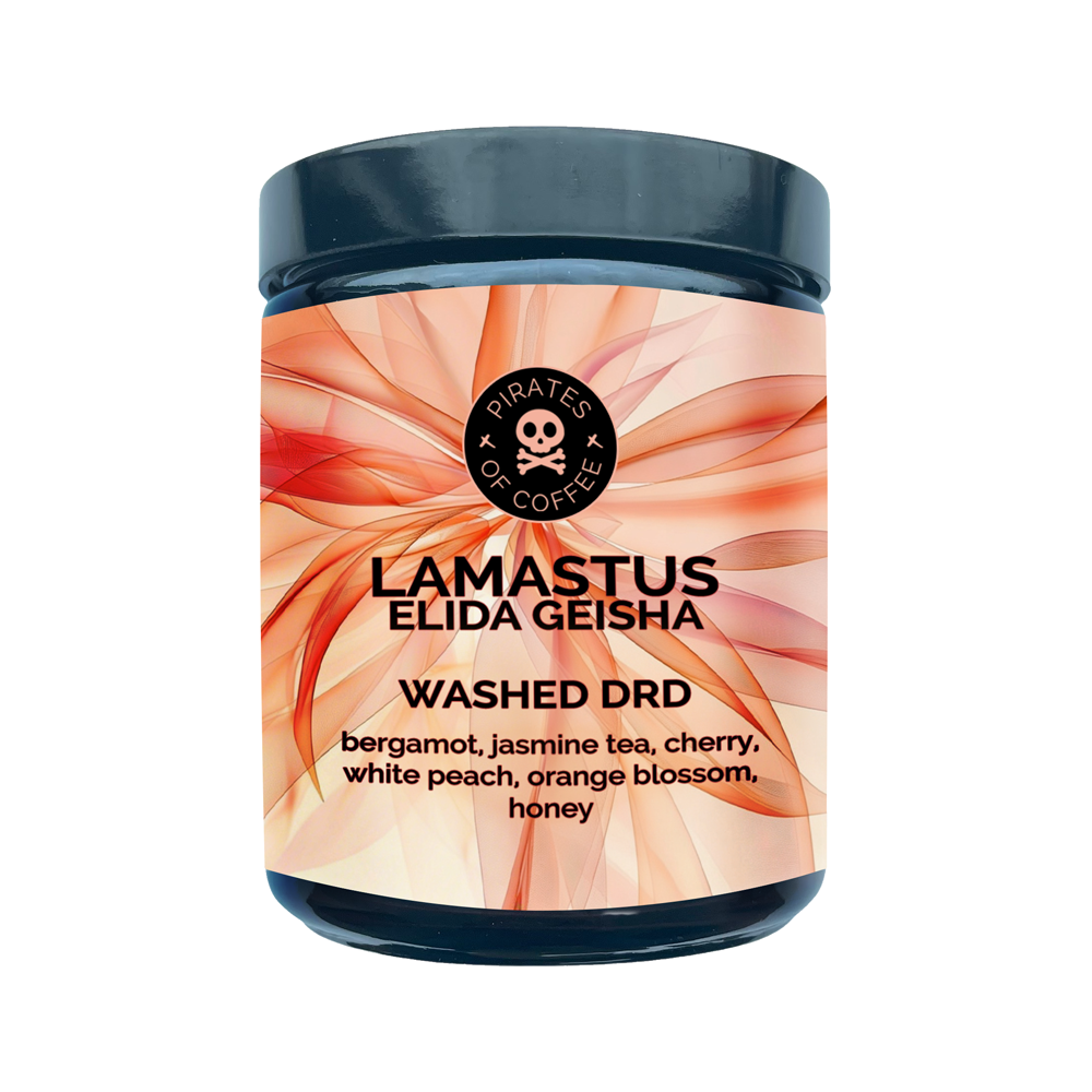 LAMASTUS ELIDA GEISHA: Panama Washed DRD