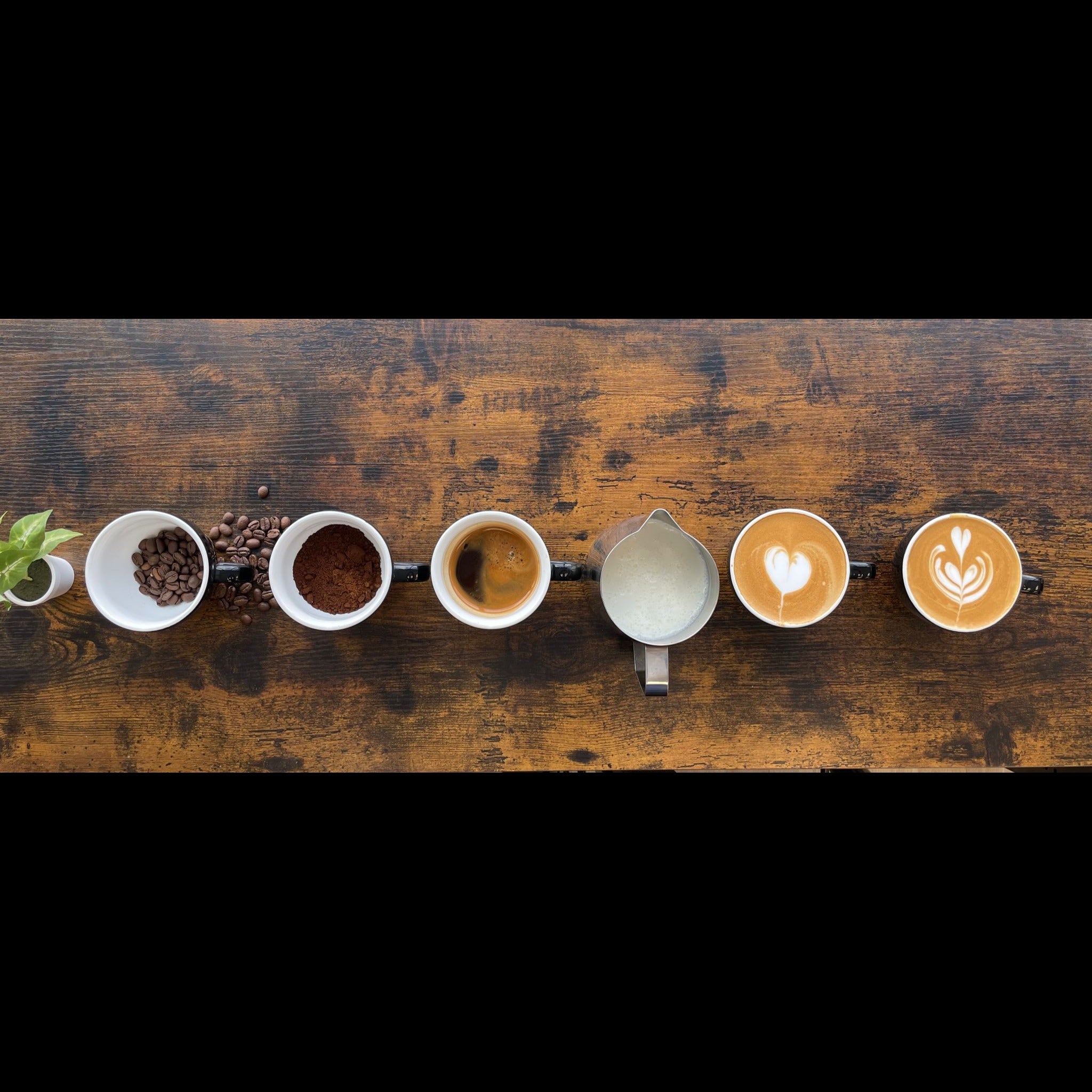 LATTE ART 101 Workshop