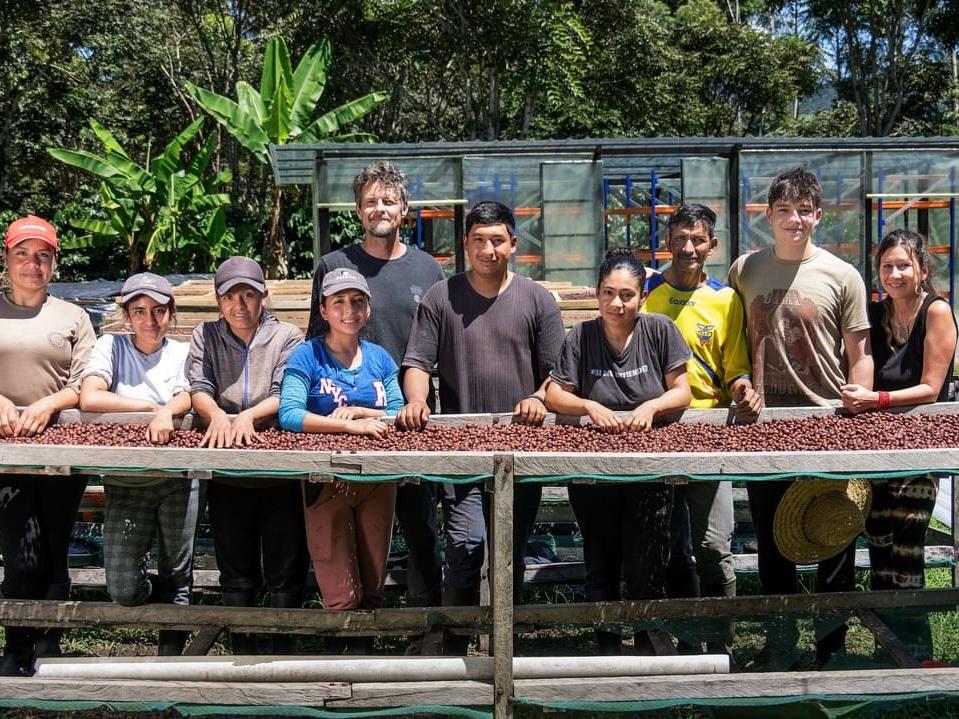 BEAT THE ALGORITHM: Orange Competition Blend