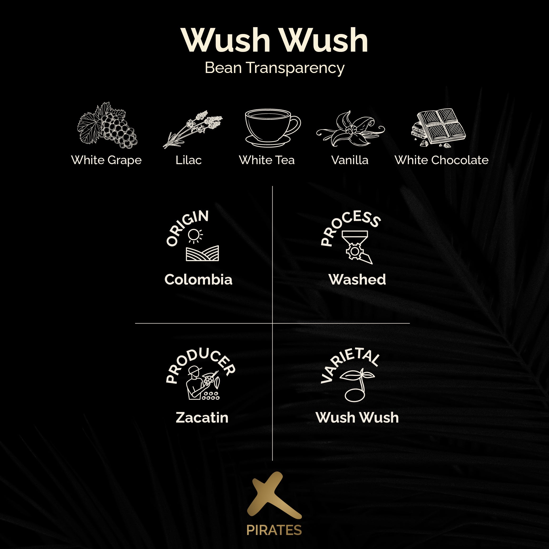 WUSH WUSH: Zacatin Colombia Washed