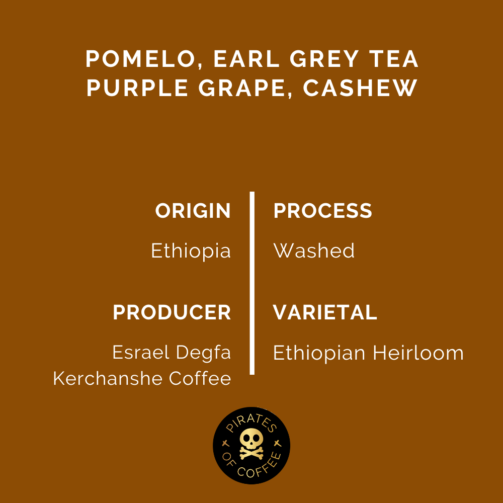 YIRGACHEFFE: Ethiopia Washed