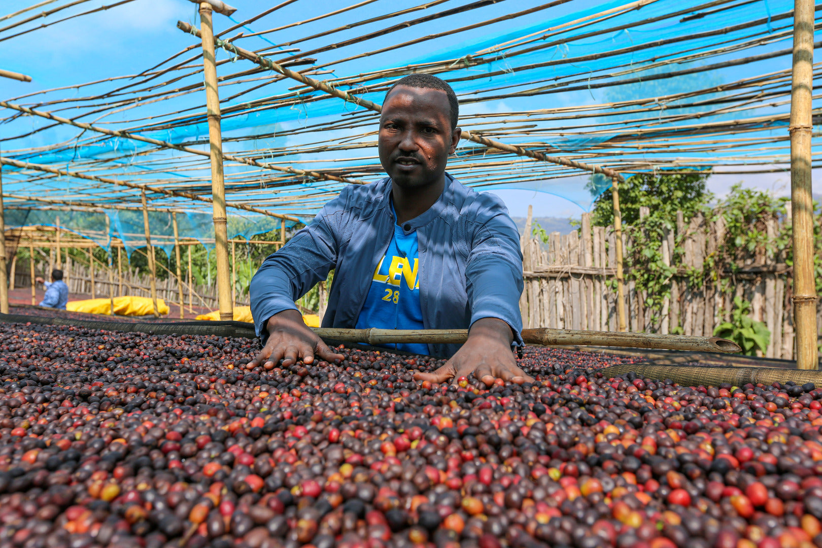 FRUIT PUNCH ESPRESSO: Ethiopia Bombe Sidama