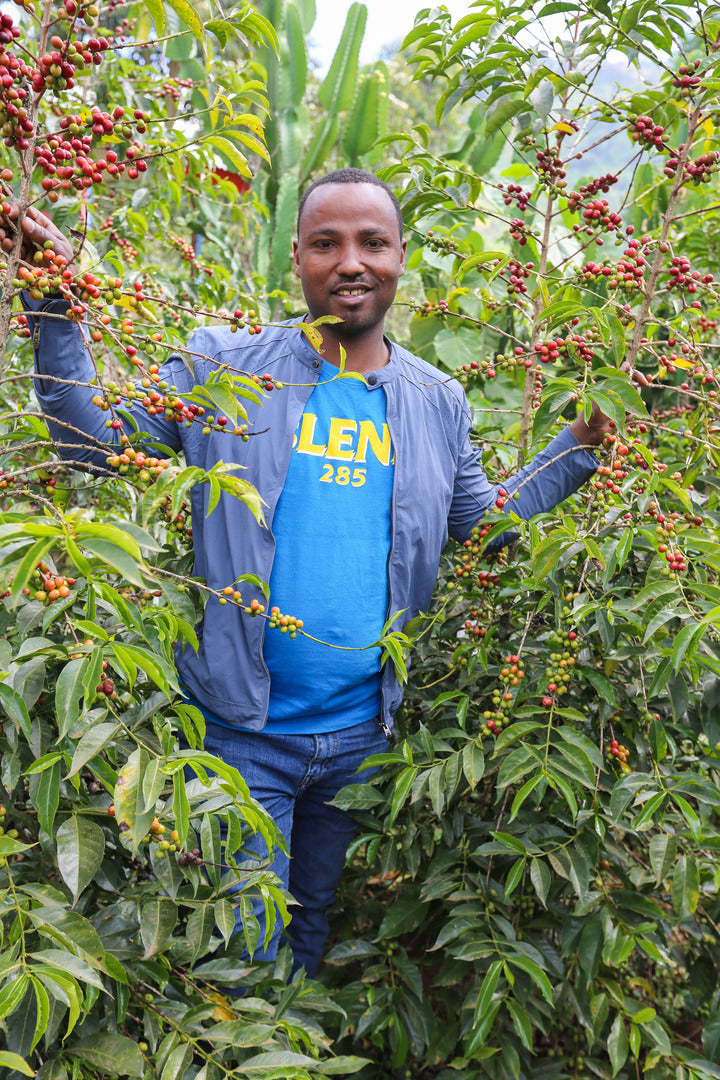 FRUIT PUNCH ESPRESSO: Ethiopia Bombe Sidama