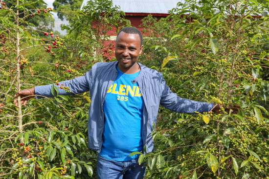 FRUIT PUNCH ESPRESSO: Ethiopia Bombe Sidama