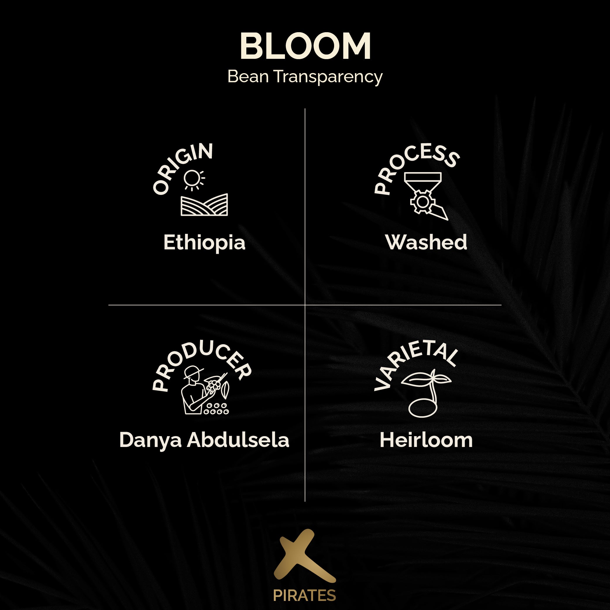 BLOOM: Ethiopia Yirgacheffe Washed