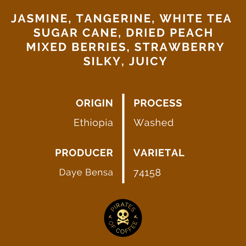 DAYE BENSA 74158: Ethiopia Washed