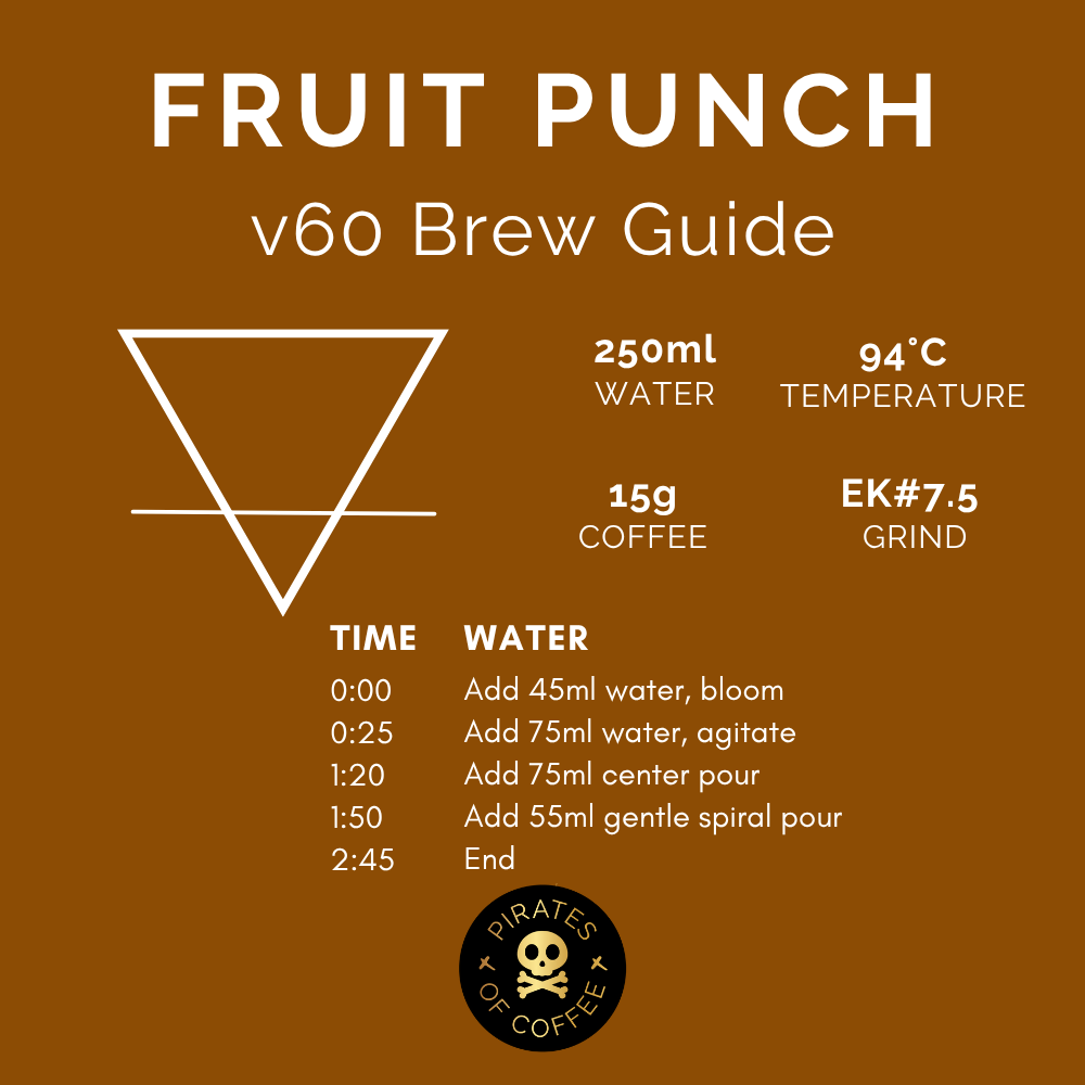 FRUIT PUNCH: Ethiopia Sidama Natural