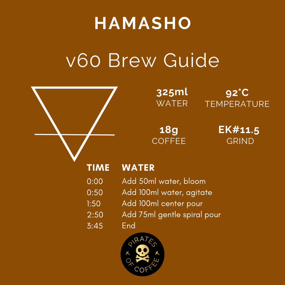DAYE BENSA HAMASHO: Ethiopia Natural
